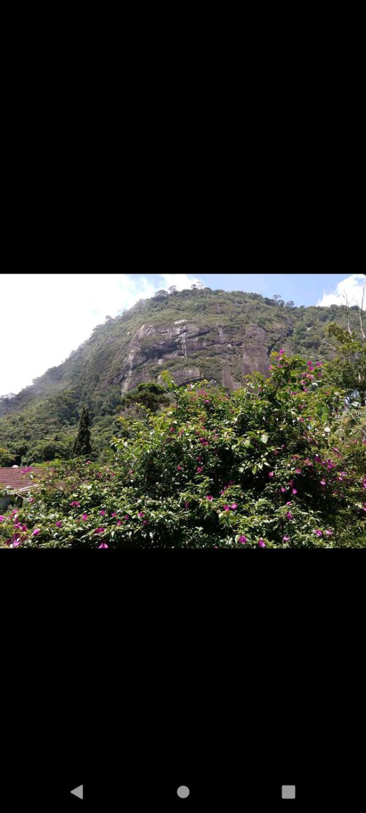 Casa Junto Ao Parque Villa Teresópolis Dış mekan fotoğraf